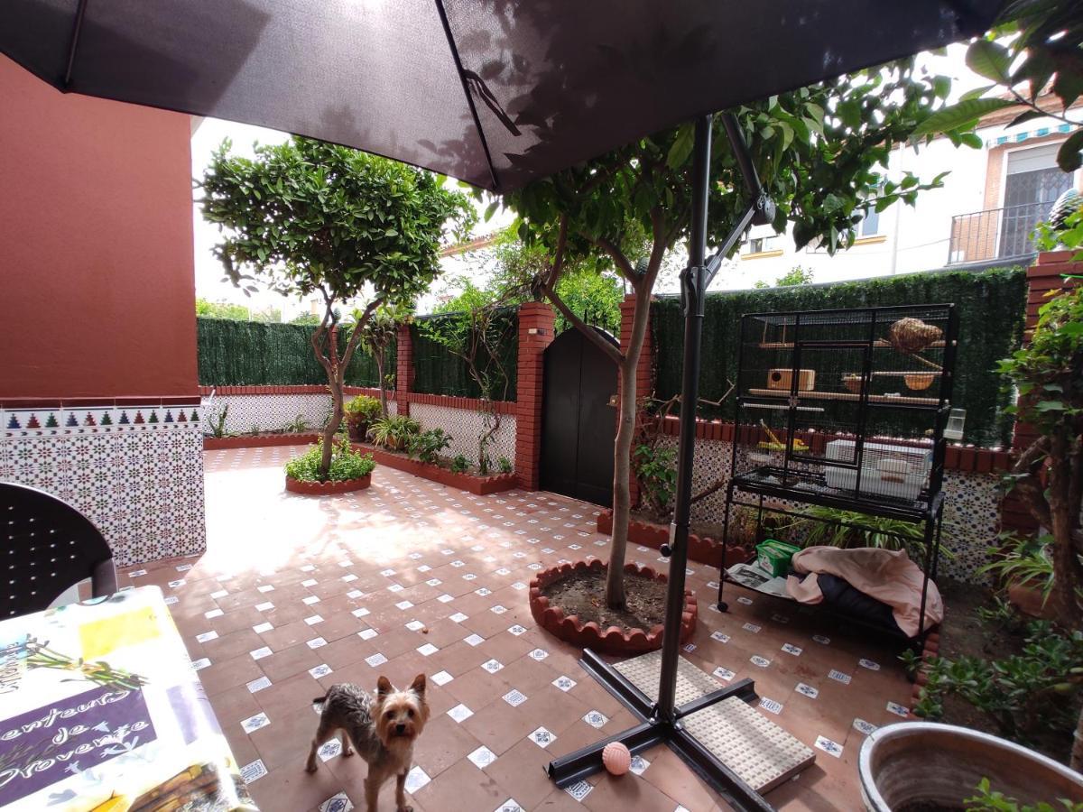 Villa Patricia Málaga Extérieur photo
