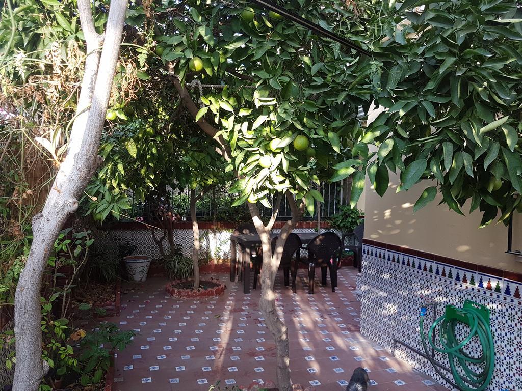 Villa Patricia Málaga Extérieur photo